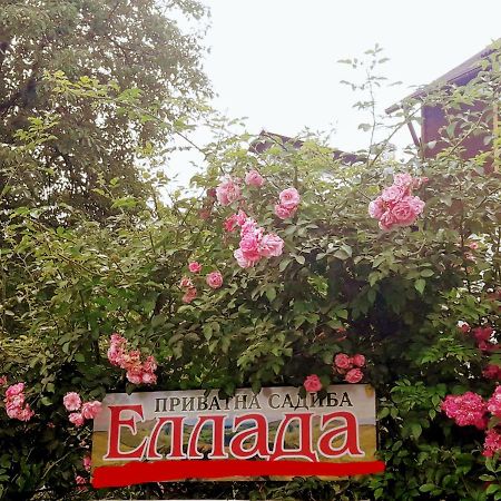 Sadyba Ellada Яремче Екстер'єр фото